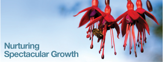 Nurturing Growth
